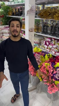 ورود • المسيب • توصيل