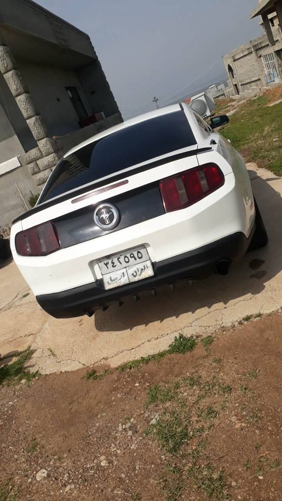 مۆستانگ 2010
ڕەقەم هەولێرە ئەوەلیات بەناو ناکرێ 
مەکینە v6🚀 4000 لۆک
    سەیارەکە زۆر پاک ماوەتەوە                    بۆیاغ سەقف و عیزام بەشەرت 
دعم لێدرانی نیە پێشو پشتی کەپسە 
گێرو مەکینە کارەبای ئەوەلیات بشەرت
بێ تەقەوڕقە جرکەو 100 دۆلار بشکێنە 
    چوار تایەو ویلی لۆکی لەژێرە 
سعری 65 کەمێک مەجال شوێن هەولێر
*********** أربيل, العراق
