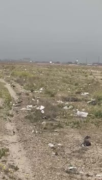 مجاور مدينة الجواهري • ١٥٠م • ٣٠٠م