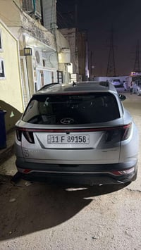 توسان • ٢٠٢٤ • باب وراي متضرر