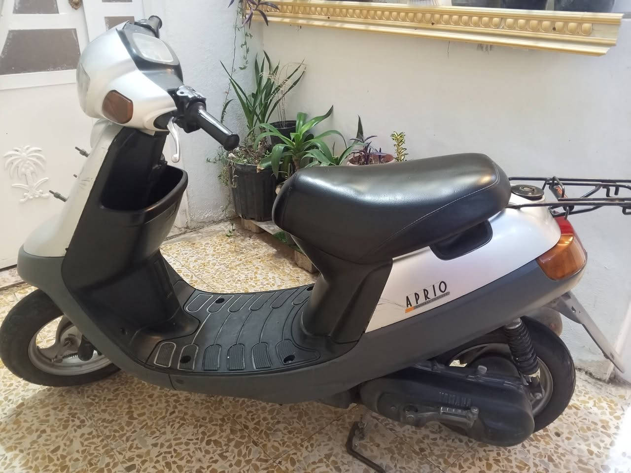 مطور بوتين شرط مامفتوح *********** السعر 500
