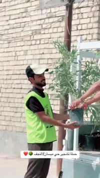 تشجير واسع • الديوانية • المبلطة