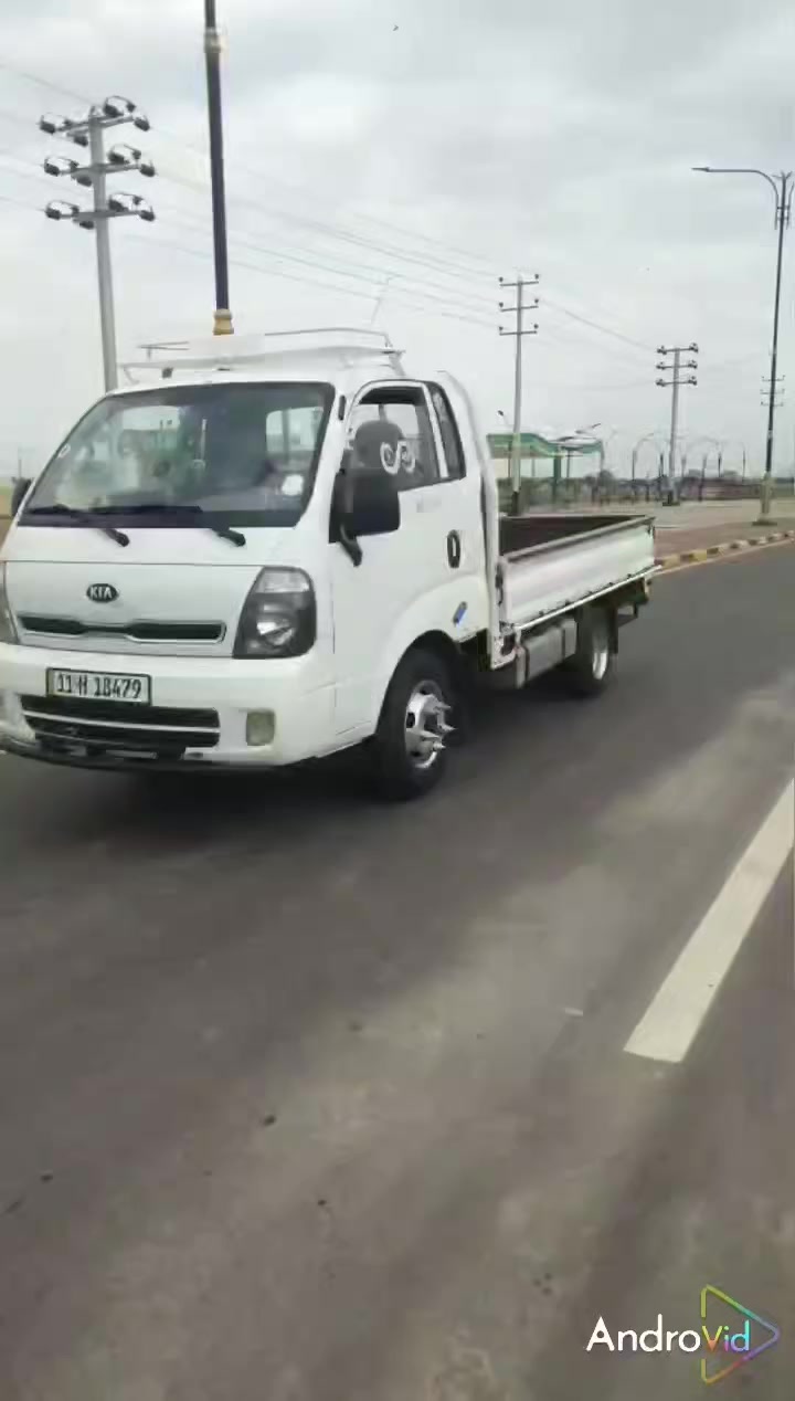 فحل للبيع 19 مفتوح كفاله عامه في محافضة ميسان الحولي ***********
