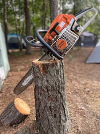 تقطيع أشجار • بغداد وأبو غريب