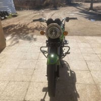 نجف • موديل 2020 • اوراق اصلية