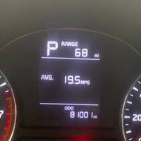 فورتي ٢٠١٧ • وارد امريكي • ٥ قطع صبغ