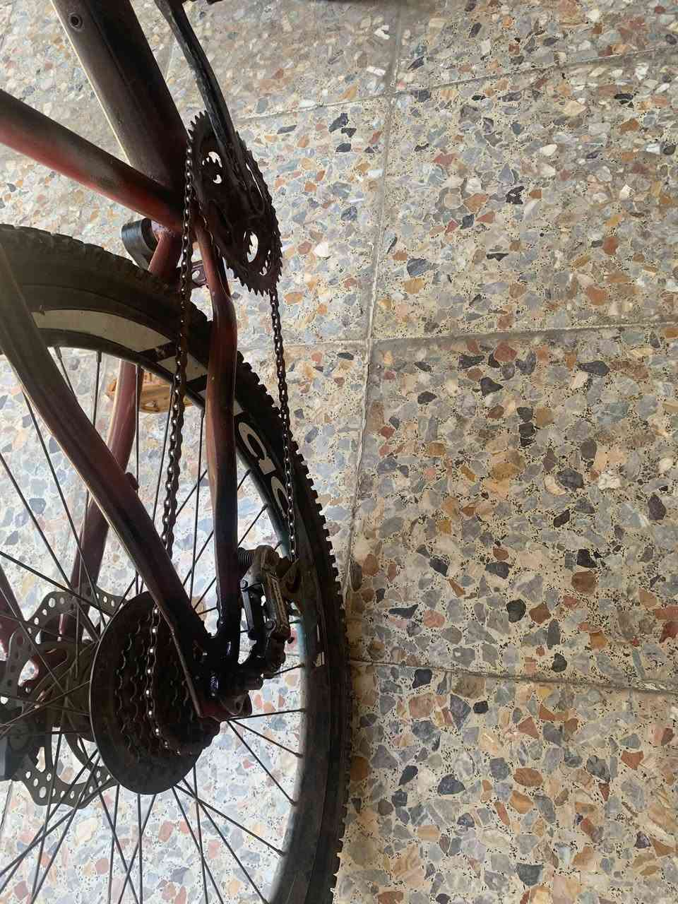 السلام عليكم باسكل جبلي حجم 26نظيف بس شغله وحده او هي الدسك مااعرف شبي ام البقيه كلشي مابي تجي تجرب يله تاخذه مصبوغ صبغ  سلس بل حركه السعر ب70او بي مجال قليل الرقم ***********

