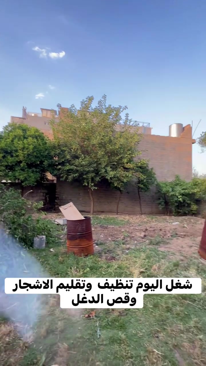 - فخامة الطبيعة بين يديك حيث يلتقي الإبداع مع الجمال لنصنع لك مساحة تنبض بالحياة...
. تصميم وتنسيق حدائق داخلية وخارجية باحتراف تنفيذ شلالات ونوافير عصرية تضيف لمسة فخامة منظومات سقي حديثة وذكية مكافحة حشرات بأحدث الطرق
تجهيز المنازل والشركات بأجود أنواع الأشجار والنباتات
جودة عالية
٧ أسعار تنافسية
٧ تنفيذ دقيق بإشراف مختصين
) للحجز والاستفسار:
*********** متواجد واتساب
