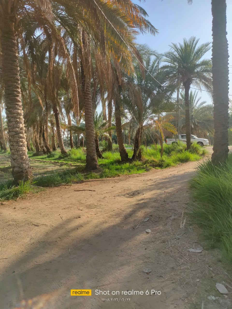 دونم ونص طابو ملك صرف مداور تقع في كربلاء  قضاء الخيرات على نهر الفرات مباشرتآ تبليط وكهرباء طوارئ تصلح سكن وتصلح منتجع للاستفسار ***********

