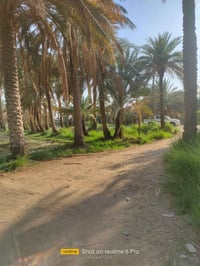كربلاء • دونم ونص • نهر الفرات