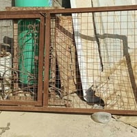 مجمع سيد اسماعيل • ديكور