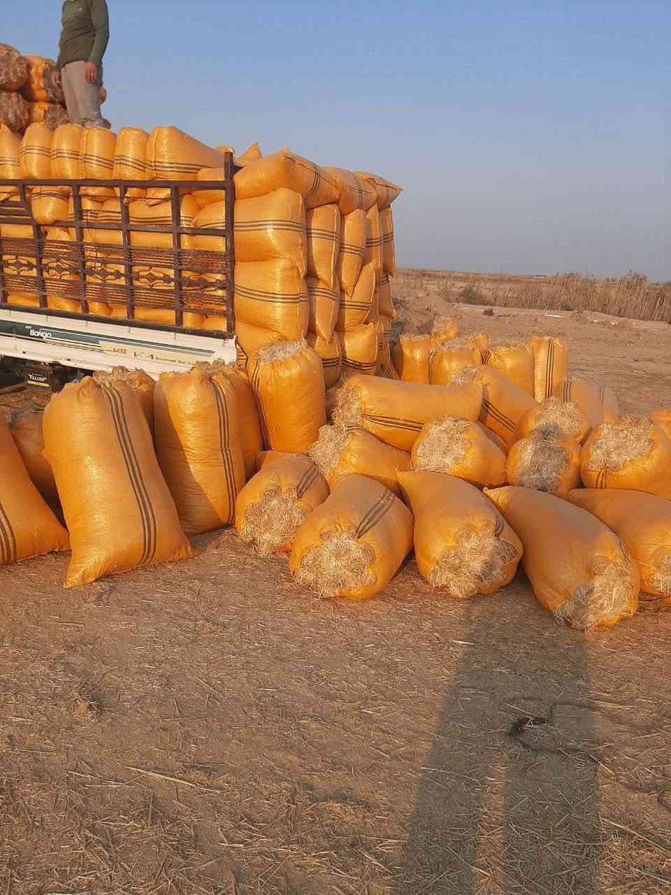 تخفيضات وبأنسب الاسعار اتصال وتدلل خاص لعروض ليوم تفليش تبن نضيف خال من شوائب
وتوصيل مجاني يوجد تبن
 نضيف + ابيض + الكبسه مال الكله 
مال الحاصوده الفوك + يوجد توصيل
 ديالى + بغداد + واسط الكوت
 بابل الحله + كربلاء + نجف
 ديوانيه + السماوه للاتصال والاستفسار
  متواجد واتساب وماسنجر
 وخطي *********** او ***********

