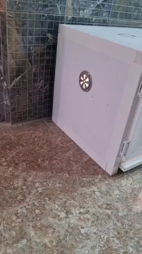 حاضن افراخ فل اوتوماتيك
(يعني يفصل عند الدرجه المناسبه للافراخ)
سعره100الف مكاني سامراء
للتواصل خاص او ***********‪
