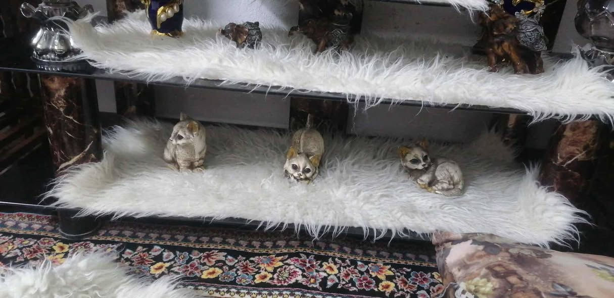 ميز للبيع السعر 25


**إذا كنت صاحب هذا الإعلان وتريد حذفه لأي سبب، رجاءا أرسل رسالة إلى الدعم الفني**