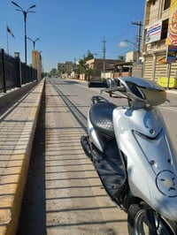 عصفورية 60 • تشتغل • الزعفرانية بغداد