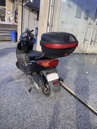 حبايب بريز للبيع نضيفه سعر 550وبيه مجال متواجد عله رقم 07713694739