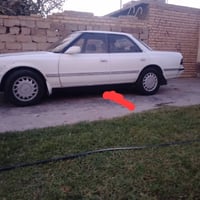 مارك شطح • ١٩٩١ • محرك مكفول