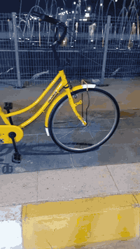 باسكل لبيع حجم سته وعشرين مديل خمصطعش سعر ١١٠ شراي خلي ديك على الرقم  ...