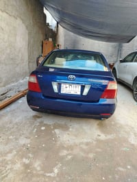 كورله تيوتو بيكاجو خليجي بيها طخه جاملغ ومصبوغا عام لجماله بدون دواخل ...