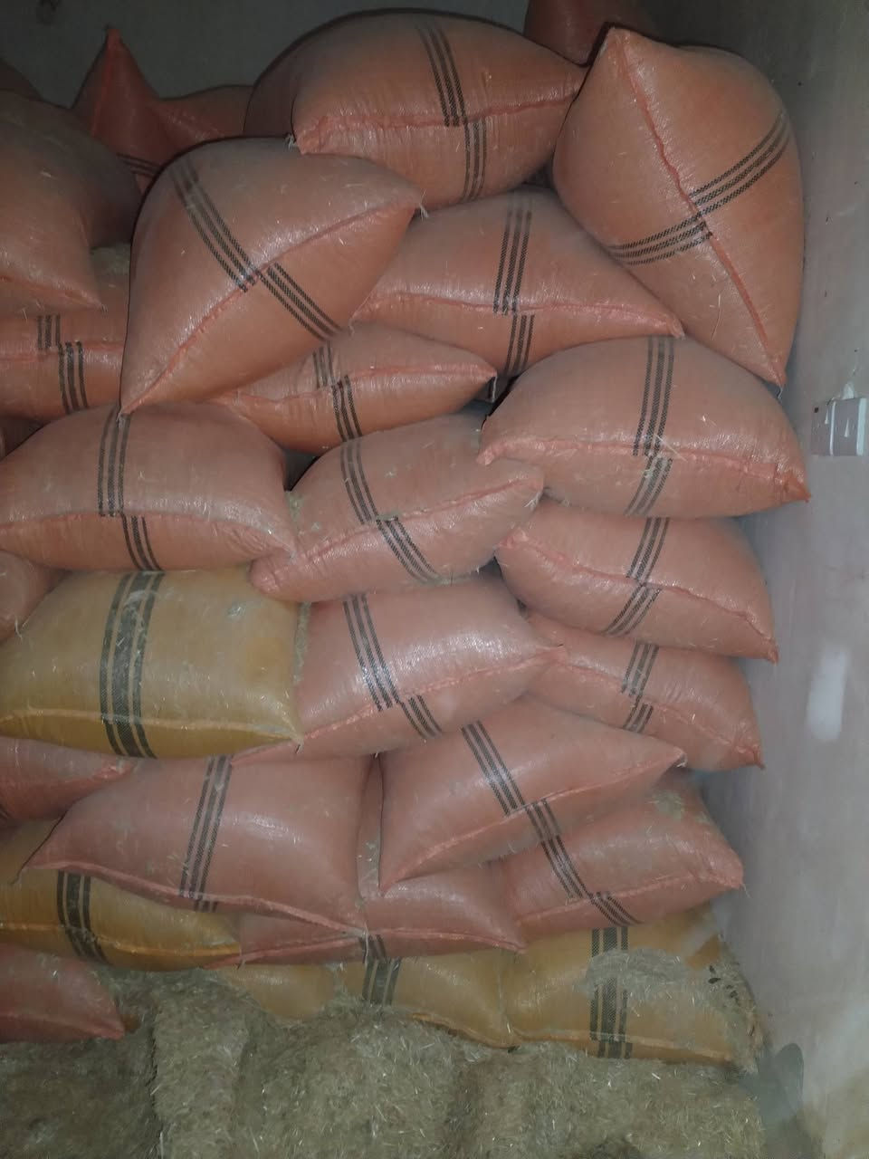 اسلام عليكم يوجد تبن 500 شليف الجوز بسته 6 الاتصال على الرقم ***********
