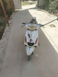 دولفين • نضيفه • شرط مكينه