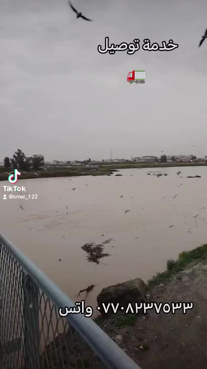 شرط ضد الماء
المشهداني لديكم لاخوف عليكم
راسلنا واتس وتدلل وين ماتكون تجيك لي
باب بيتك
موقعنا سوق الشعارين
