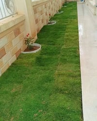 حديقجي اربيل • زرع وتقليم • أدامه شهرية