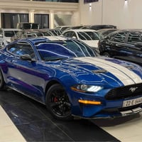 موستانغ اكوبوست • ٢٠١٨ • اربيل