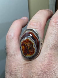 وينه الي يدور نوادر وحجر نار وشرار خاتم   داوودي دموي مصور ☠ وجه ☠مرعب...