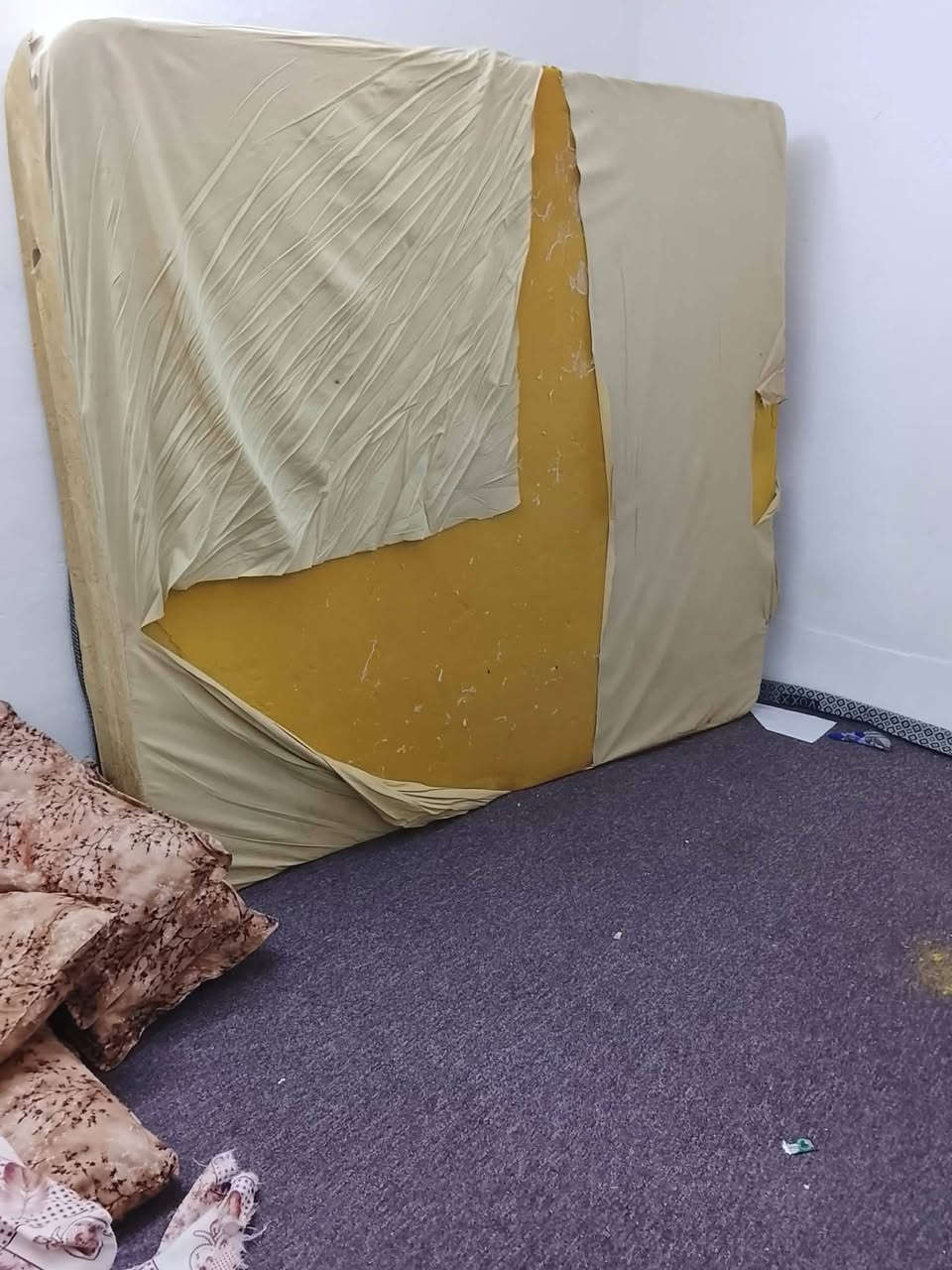 دوشگ اسفنج للبيع سعرها 45عنوان طريق بغداد كركوك


**إذا كنت صاحب هذا الإعلان وتريد حذفه لأي سبب، رجاءا أرسل رسالة إلى الدعم الفني**