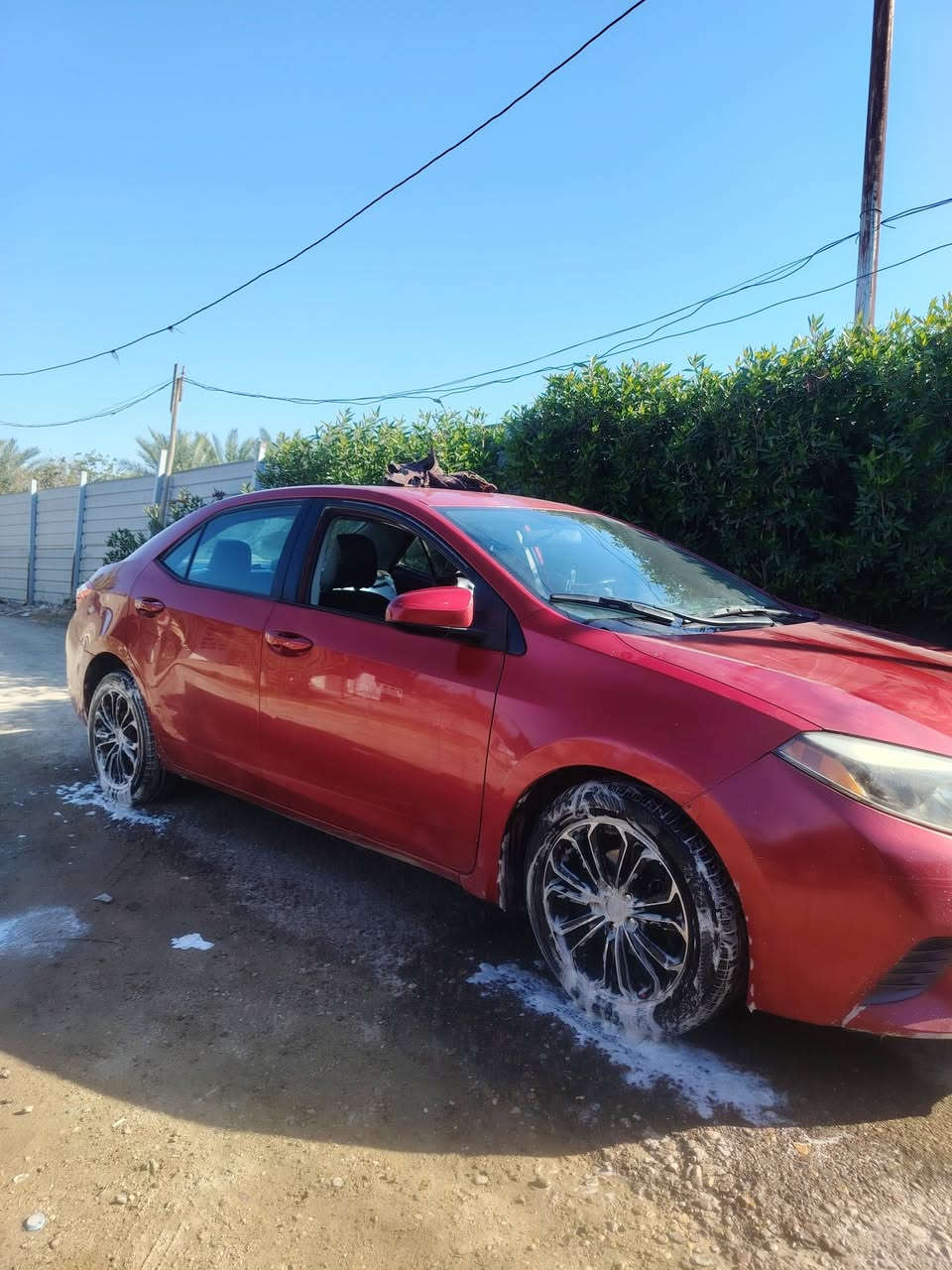 للبيع كورلا امريكي موديل 16 محرك 1800 وكير مكفولات تخم تاير صدر جديد سيارة جاهزة تبريد ثلج ولسيارة بيهة 3قطع بنيد وجاملغين البنيد مو مرشوش وراشين شبر من التكمة  سيارة لا دواخل لا شي مال جناي. نقصهة ترتيب دعاميات وصبغ  وبيهة
 خدوش  بل بوب ولعنوان بغداد محمودية وسعرهة 115 وبيهة مجال التفاصيل ***********
