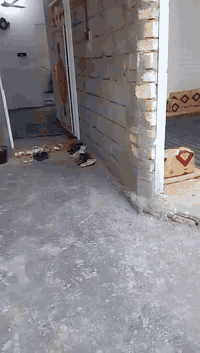 بيت للبيع بالدييله بالاربعتالاف مساحه 125 تعويض بلديه للاستفسار ***********
