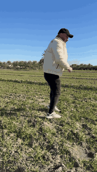 مو كل أرض تتحمّل… بس الأرض اللي تتغذّى صح 🌱  لماذا لم يتأثر النبات بال...