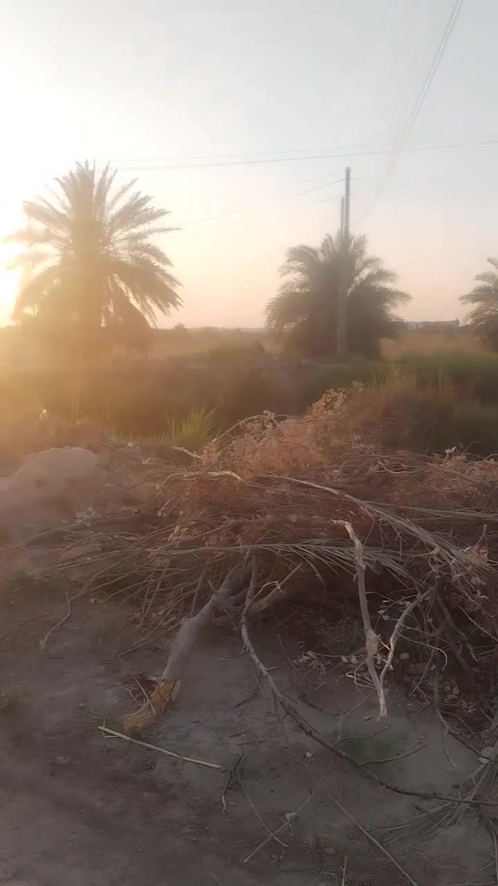 سلام عليكم كاع لبيع تفاصيل بل مقطع ***********
