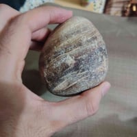 مكلف • مراوس