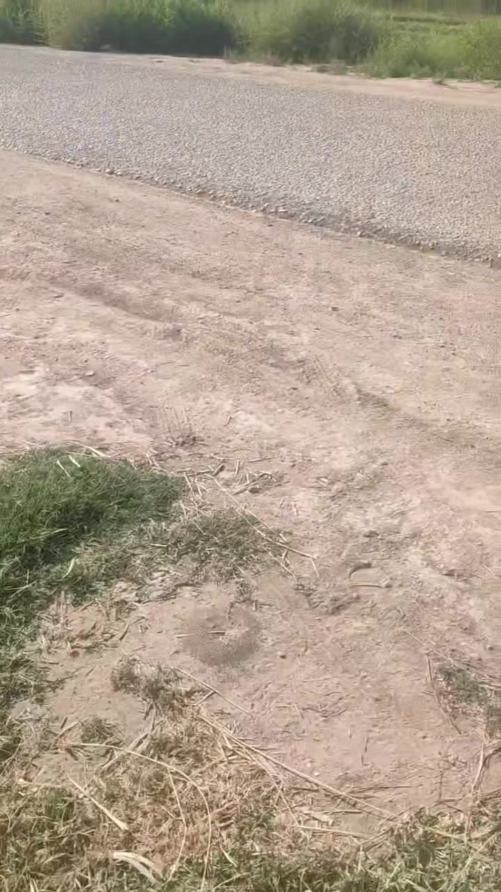 ارض زراعية  بابل ناحية الشوملي خيكان الغربي على نهر الشوملي مباشر وعلى التبليط مباشر 
سند 25 واجهة الأرض على التبليط 200 متر 
ترهم بيوت وترهم محلات ومخازن وبيوت زجاجيه 
ينباع منها دونم فما فوق 
موقع ممتاز وكافة الخدمات متوفرة 
للتواصل والاستفسار أكثر  واتساب او إتصال 
***********
