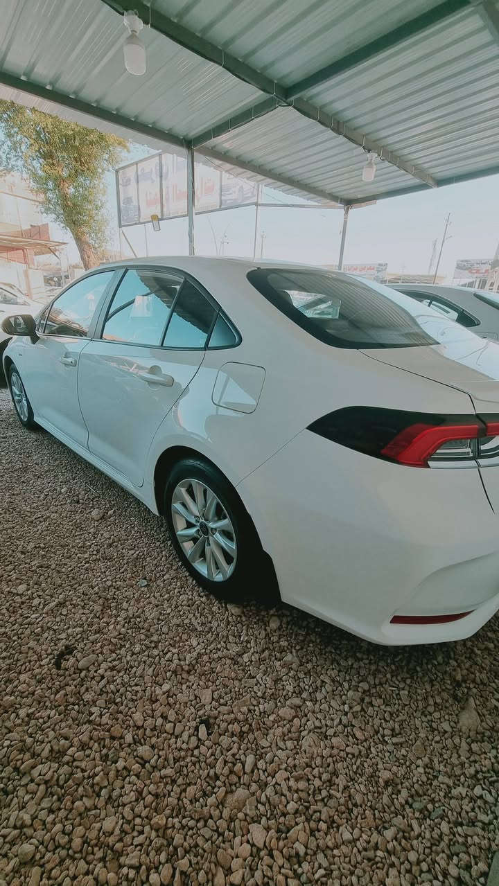 كورلا هايبرد 2025
كفالة عامة 
ماشية (8000) 
وضع الشركة 
شكل الخليجي علامة سودة داخل اسود 
فول مواصفات
سعر ١٦٥  
سونار موضح كلشي 

الاستفسار : 

الاتصال ؏ رقم ( *********** )
