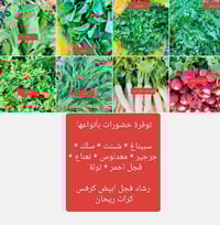 خضروات وفواكه • عصائر طبيعية • توصيل