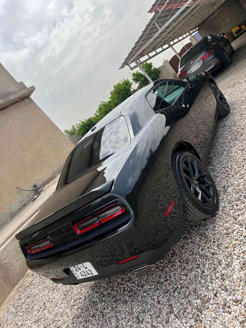 جالنجر 2023 للبيع بيها شبر صبغ بونيد وچاملغ بدون دواخل للبيع قسط ونقد 

للاستفسار *********** - ***********
