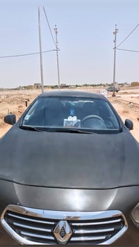 رينو فلونس • ٢٠١٤ • كير ستوني