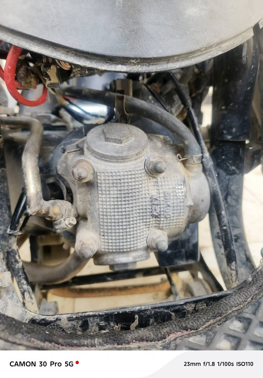 تم اعادة النشر بسبب الوعود الكاذبه السلام عليكم ماكس عدله مكينه مامفتوحه مكفوله كفاله عامه وين ما يعجبك تفحص مكفوله منكلشي لابخار لاتنقيص لانضوح كامله مابيها كل نقص دراجه بلاديه مابيها كلشي تجاري بس السلف ولجوزه تجاريات ولجوزه لبلاديه موجوده بس سويچها ضايع عادي يصيرلها سويج بس ذني مختمه منلطول للطول بس مو ختم واحد الدراجه نصبه ولكڤرات امرايه منلنضافه المكان الديوانية حي المعلمين السعر800وبيها مجال الشراي يجي خاص وبي خير ويدلل واخيكم المو شراي لايتعبني ولايوصل ولايضل يكلي باجر وباجر ماتشتري لاتعبني ولا تراسل ولشراي اخلي بعيوني موجود واتساب  ***********
