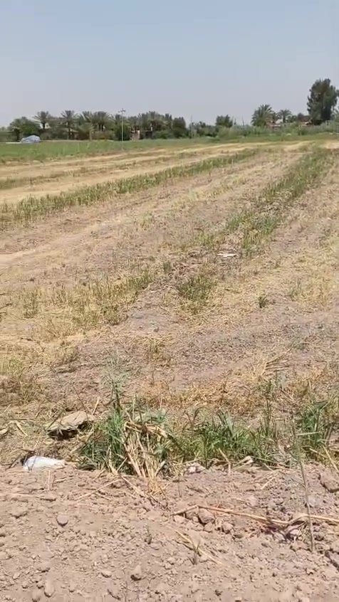 ارض زراعية طابوا ٢٥ على طابوا المحموديه سعر مناسب متوفره جميع الخدمات. اي استفسار الاتصال على الأرقام التاليه *********** واتساب أبو أيوب الخالدي
*********** أبو مثنى الحمداني
ارض زراعية طابوا ٢٥ على طابوا المحموديه سعر مناسب متوفره جميع الخدمات. اي استفسار الاتصال على الأرقام التاليه *********** واتساب أبو أيوب الخالدي
