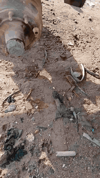 للبيع مقطور سكس  طول  ٨ متر او ستين  مجموع لاعاب السعر  ٣٠ وراق مكان الموصل *********** ***********
