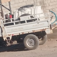 فحل عالي • موديل ٢١ • ديالى