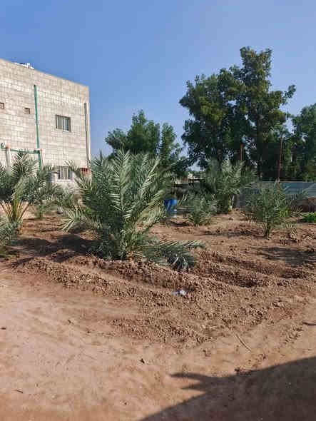 أسلام عليكم ورحمة ألله وبركاته🌹
الاستفسار : ***********

توفر أرض مع دار سكن طابقين 🏭
سنة البناء 2023
ألمساحه الكليه 600م
ركن على شارعين
كل شارع 10م
جميع لخدمات متوفره
على نهر جاري قريب على شط لعرب
يبعد مسافه 100م عن شط لعرب رئيسي

أرض حلو مرتبه مزروعه أنواع نخيل
محتويات البيت ⬇️
بستان + كراج
دوانيه
صالتين
غرف نوم عدد 6 نضام سويت
مطبخ حار بارد
صحيات خارجي وداخلي

نوع العقار : طابو زراعي ملك صرف عراقي سند 25
العنوان : البصرة محيله

السعر : 300وبي مجال
الاستفسار : ***********
