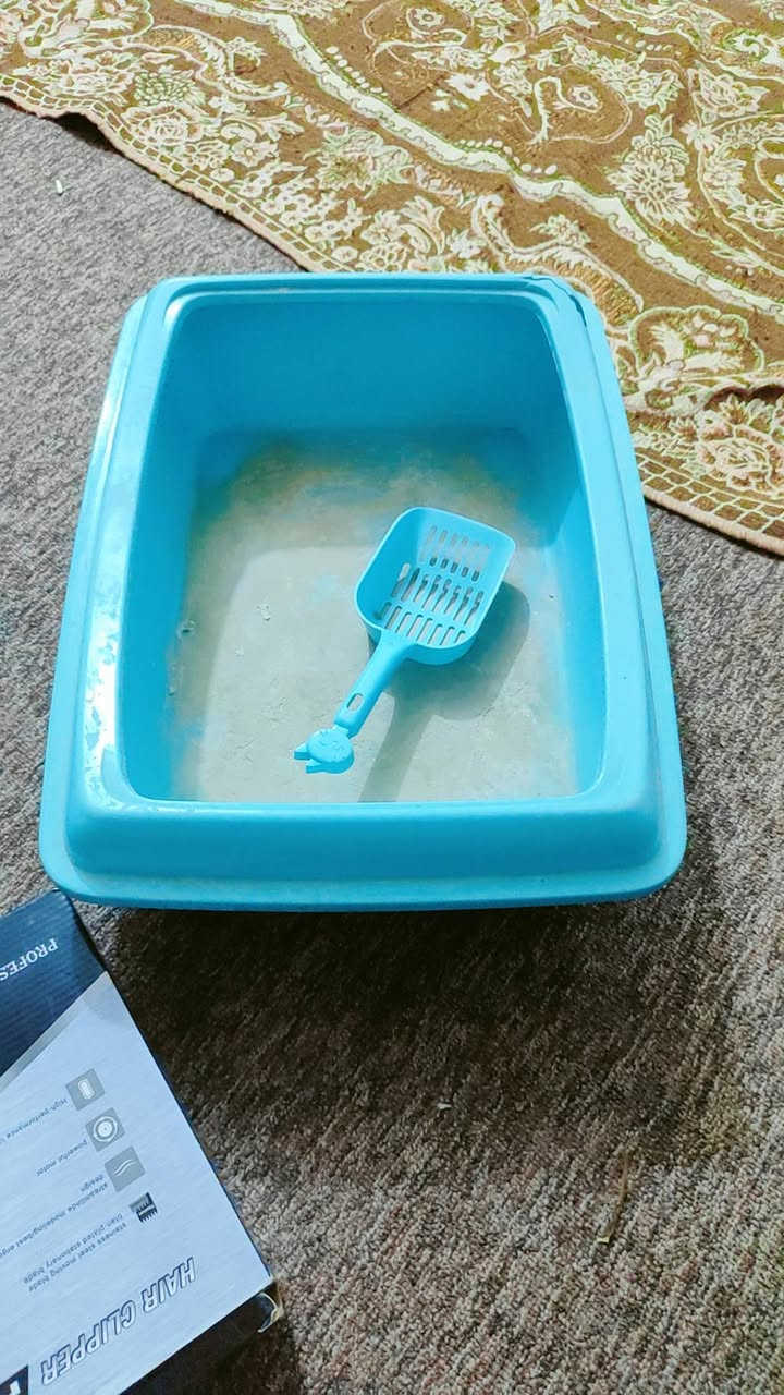 سلام عليكم عندي غراض مالت قطط للبيع كله سعر 50 قفل ليريد يتصل على الرقم ***********
