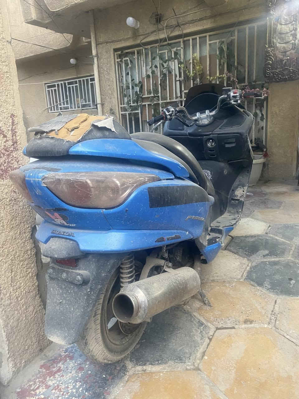 السلام عليكم مكلف بالنشر مكلف بالنشر
دراجه فورزه 08 لون جويتي كير ومكينه خير من الله 
الدراجه نكره سلف مثل ما بالصوره 

العنوان بابل حله حي الامام شارع الضغط 

رقم صاحب الدراجه *********** 

رقم مكلف النشر ***********
سعر الدراجه 550وابيه مجال
