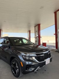 سيلتوس EX • ٢٠٢٤ • مصدوم