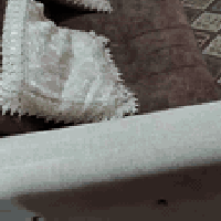 تخم 10مقعد السعر 3000الشراي يتصل 07764263999