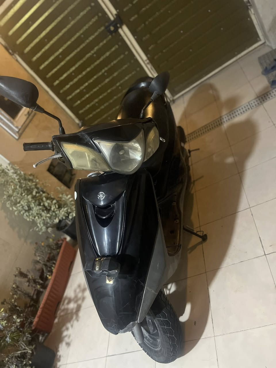 للبيع بريز ببغاء دراجه حلوه ونضيفه الصور كدامكم تايرات جديده بريكات امامي خلفي شغال لايتات عالي ناصي + لايت إضافي اشاير هورن دراجه ما بيهه نقص باتري جديد بلك جديد عداد سرعه وبانزين كله شغال دراجه ما بيهه نقص ملاحضه بيهه تبخير الدراجه على ايدي وتمشيك بعد سنه سنتين كلشي ما عليهه السعر 600 وبيهه مجال للشراي مكان بغداد العامريه ***********
